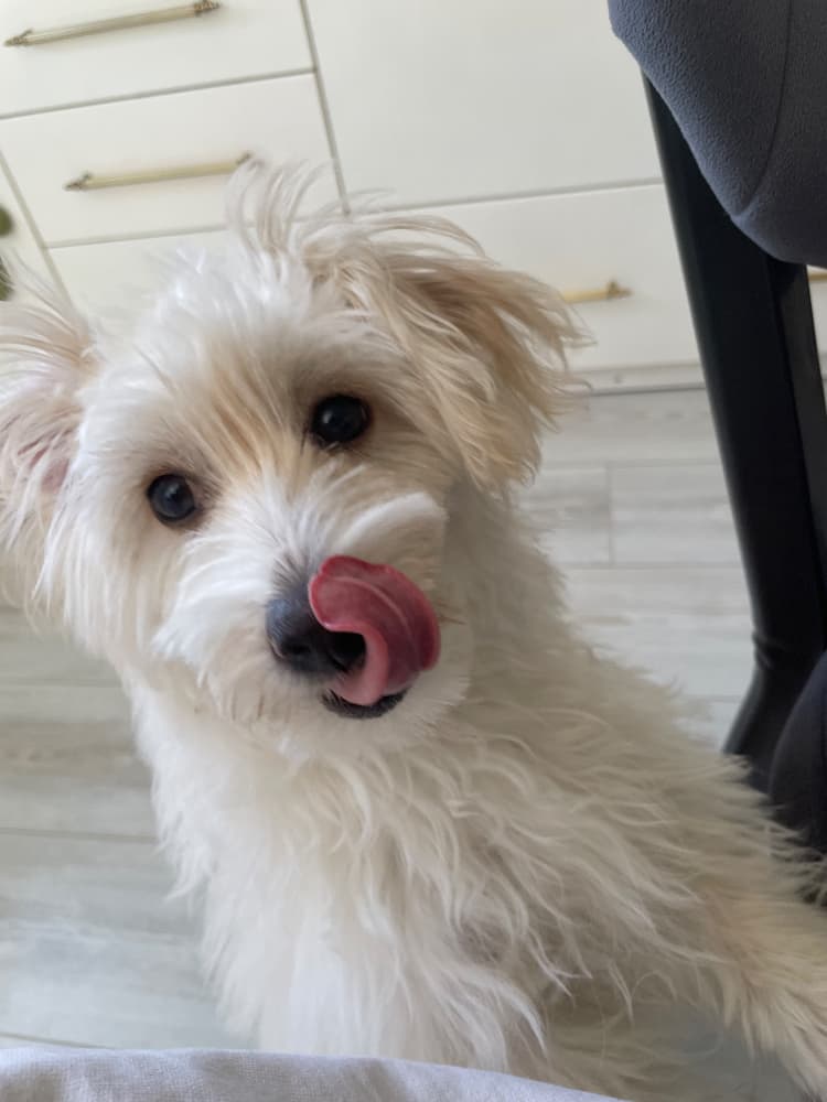 1 yaşında fındık kızımız